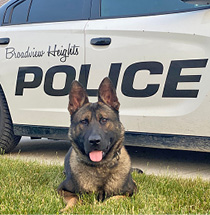 Newest member of Broadview Heights Police Department begins patrol ...