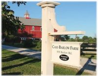 L Case Barlow Farm